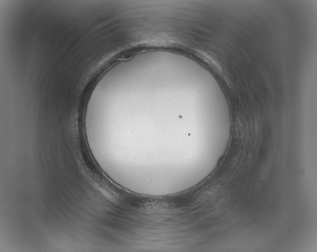 X0000074260535200609222153