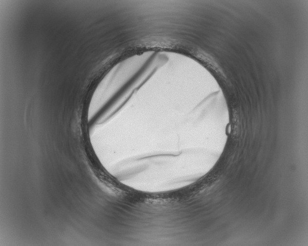 X0000074260538200609222153