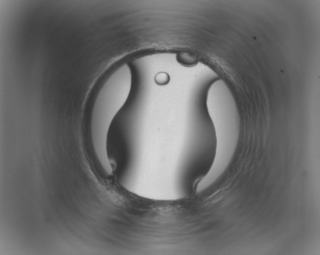 X0000074260540200609222153