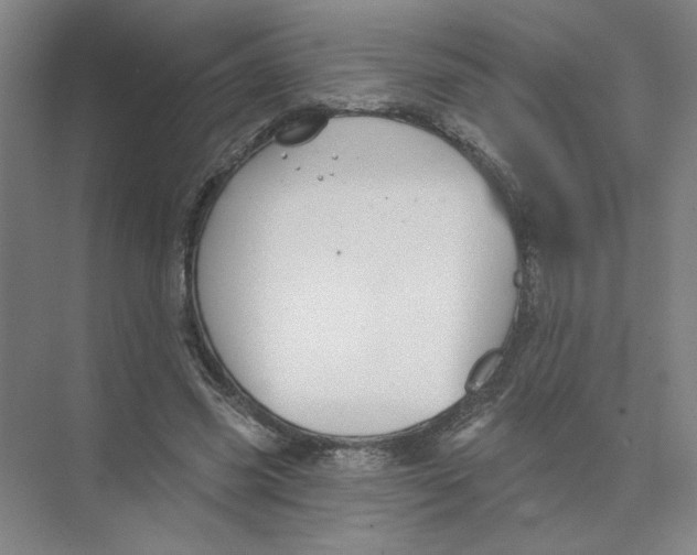 X0000074260541200609222153