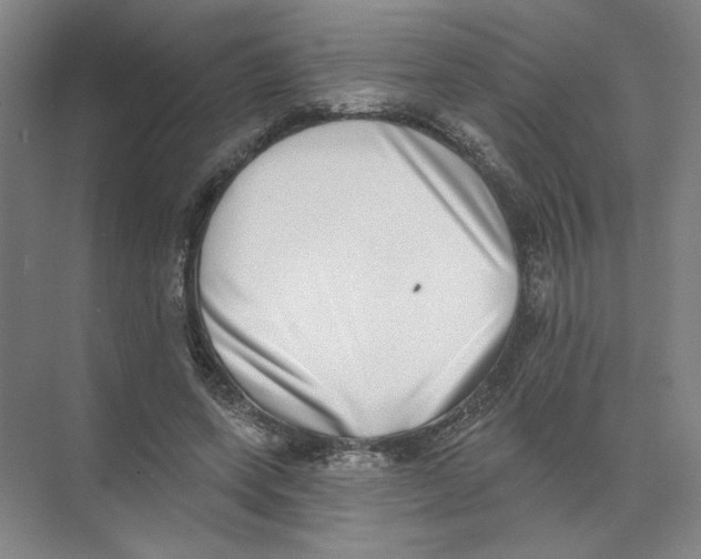 X0000074260543200609222153