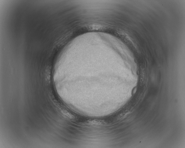 X0000074260545200609222153