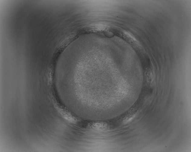 X0000074260546200609222153