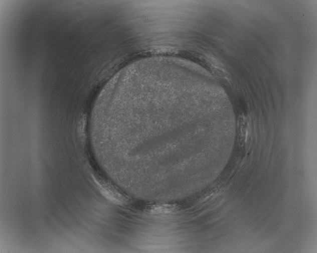 X0000074260550200609222153