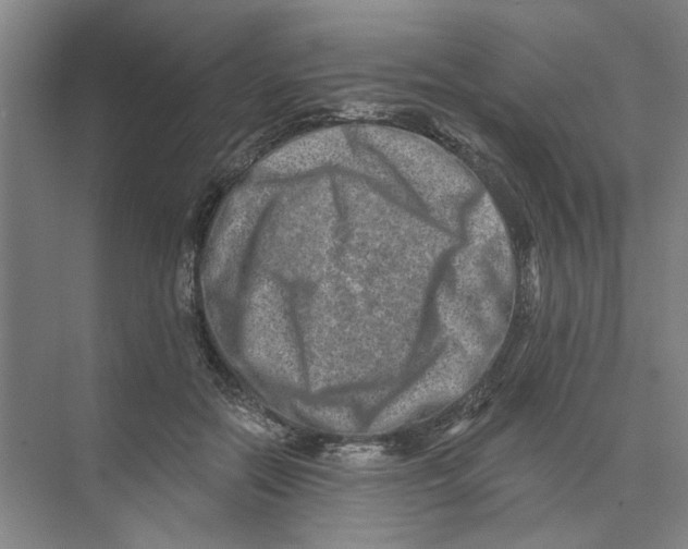 X0000074260554200609222154