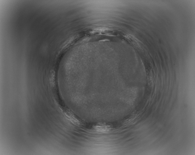 X0000074260556200609222154