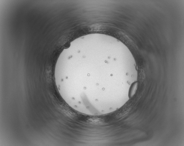 X0000074260557200609222154