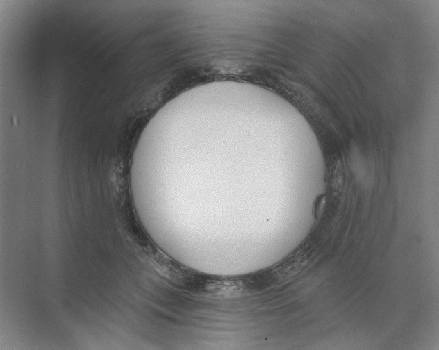 X0000074260559200609222154