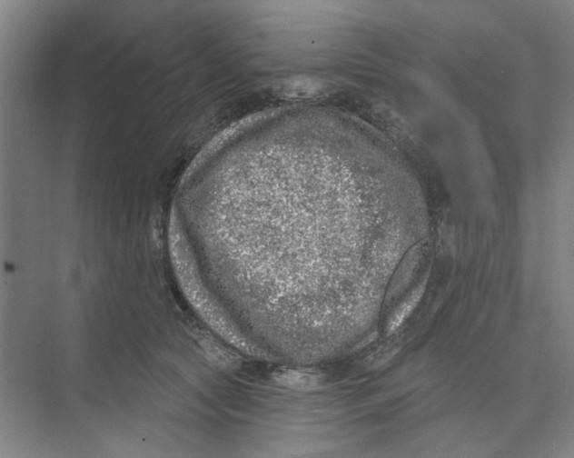 X0000074260561200609222154