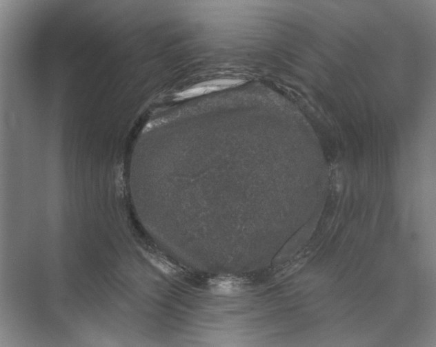 X0000074260564200609222154