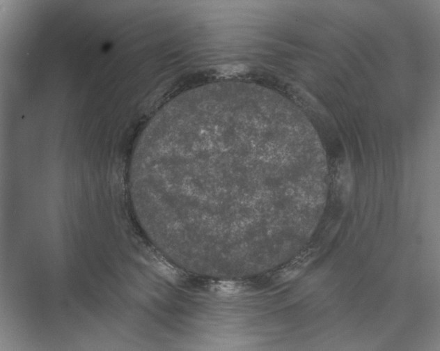 X0000074260565200609222154