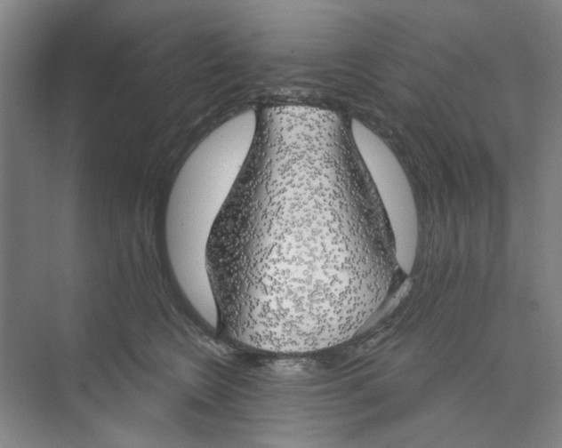 X0000074260566200609222154