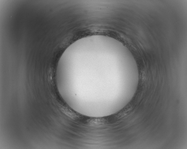 X0000074260567200609222154