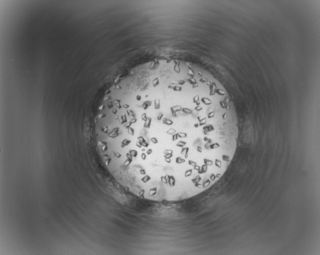 X0000074260569200609222154