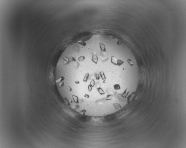 X0000074260573200609222154