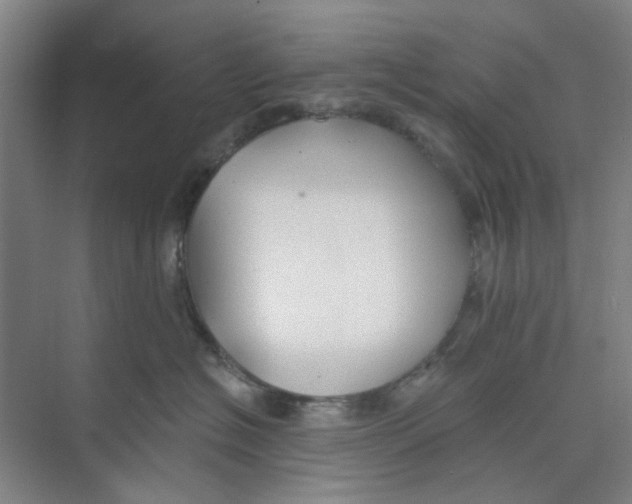 X0000074260574200609222154