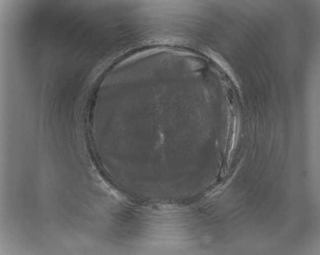 X0000074260577200609222153