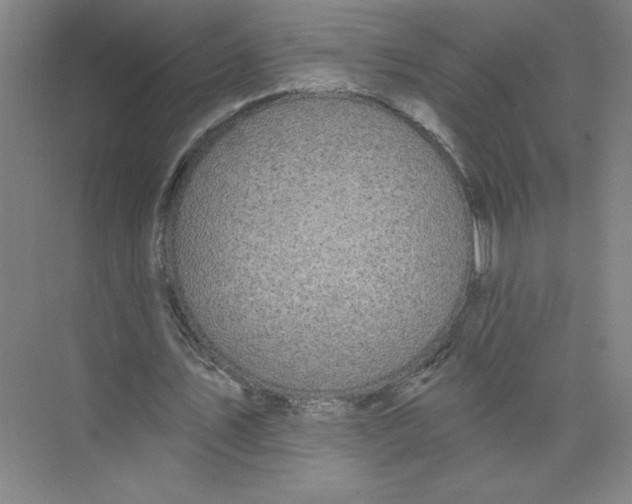 X0000074260579200609222153