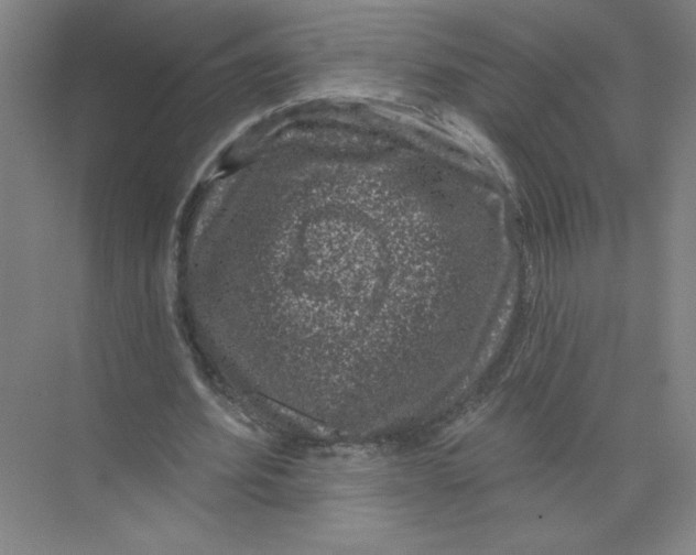 X0000074260580200609222153