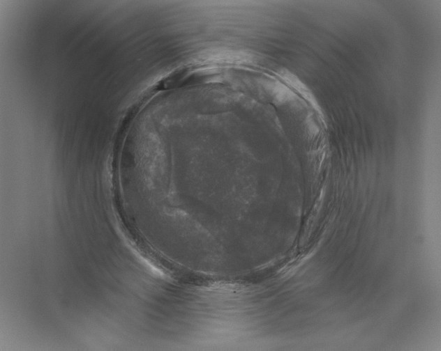 X0000074260581200609222153