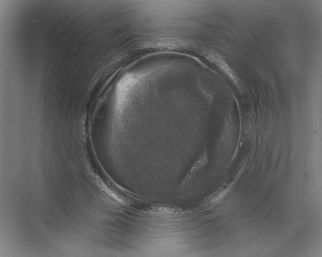 X0000074260585200609222153