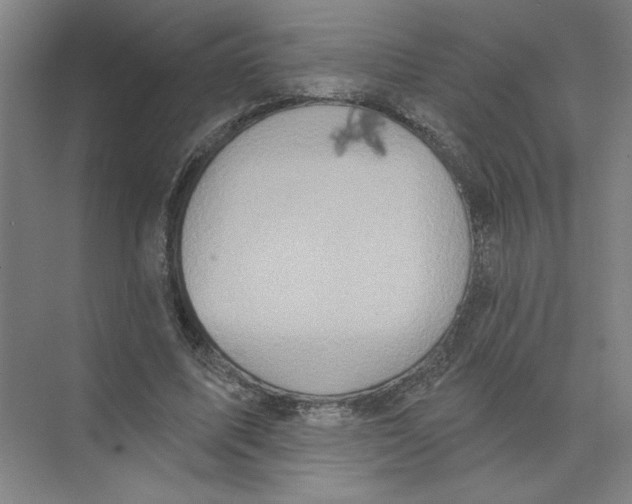 X0000074260587200609222153