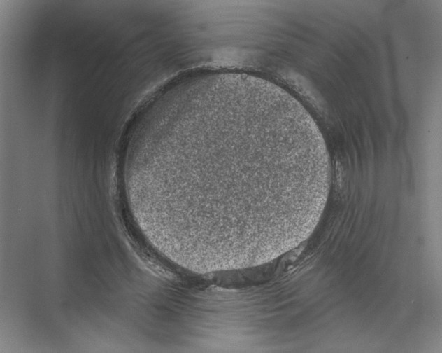 X0000074260588200609222153