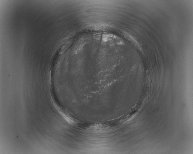 X0000074260589200609222153