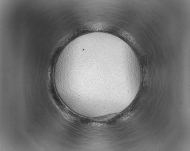 X0000074260590200609222153