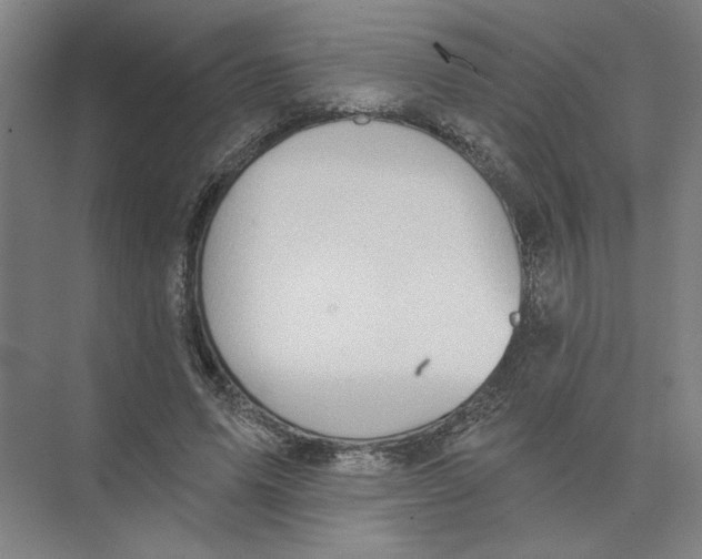 X0000074260591200609222153