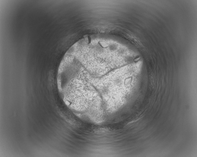 X0000074260594200609222153