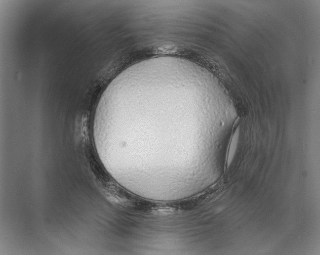 X0000074260598200609222153