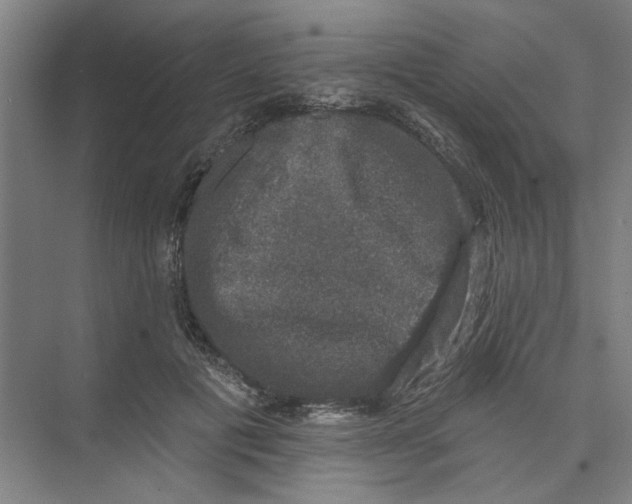 X0000074260601200609222153