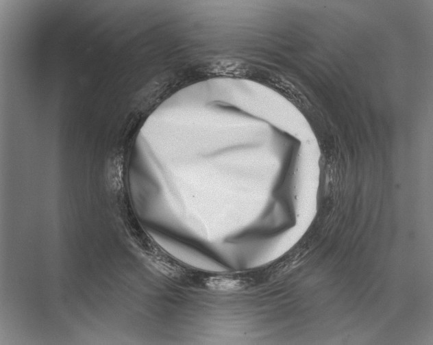 X0000074260602200609222153