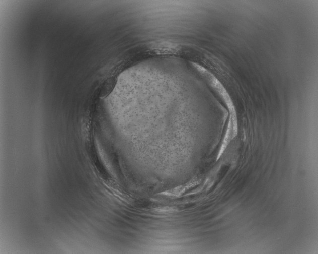 X0000074260604200609222153