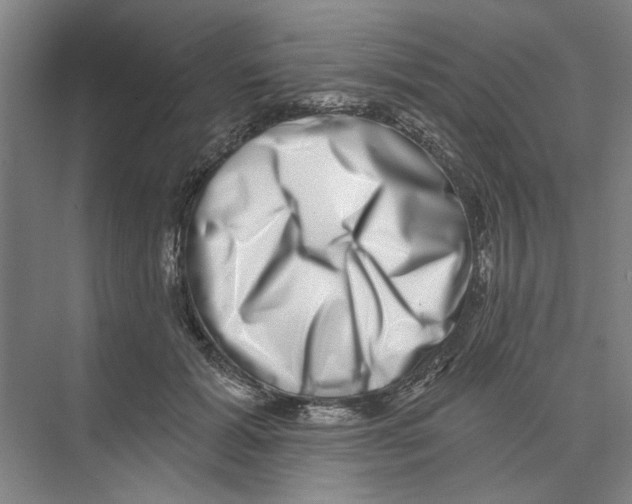 X0000074260605200609222153