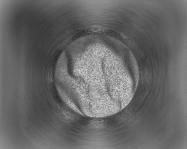 X0000074260606200609222153