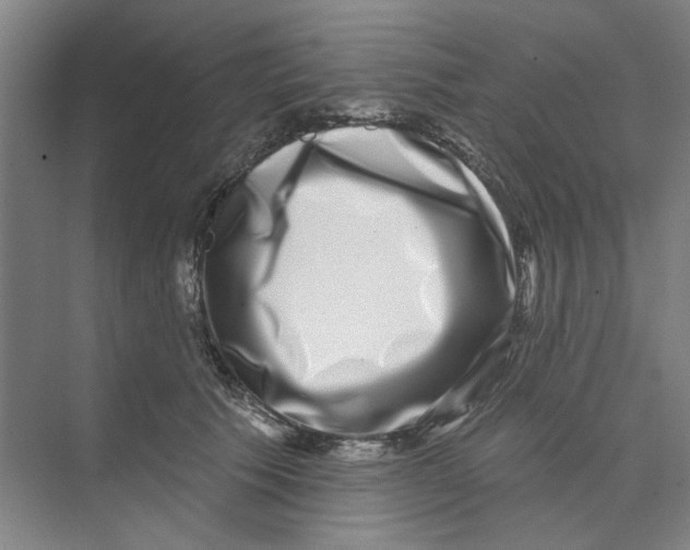 X0000074260609200609222153