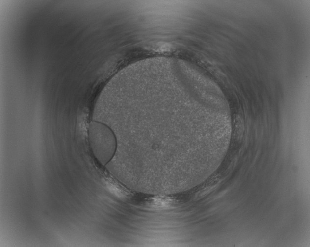 X0000074260612200609222153