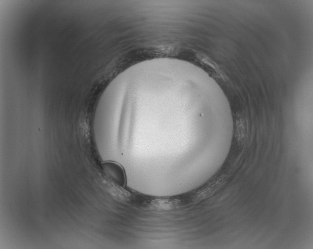 X0000074260613200609222152