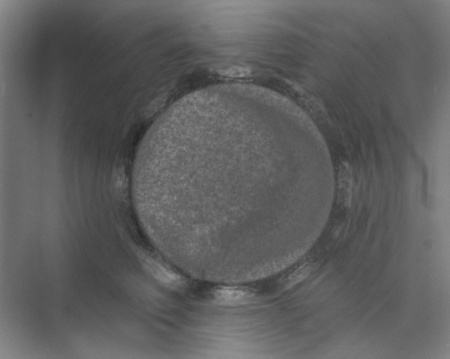 X0000074260614200609222152