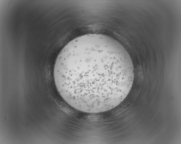 X0000074260615200609222152