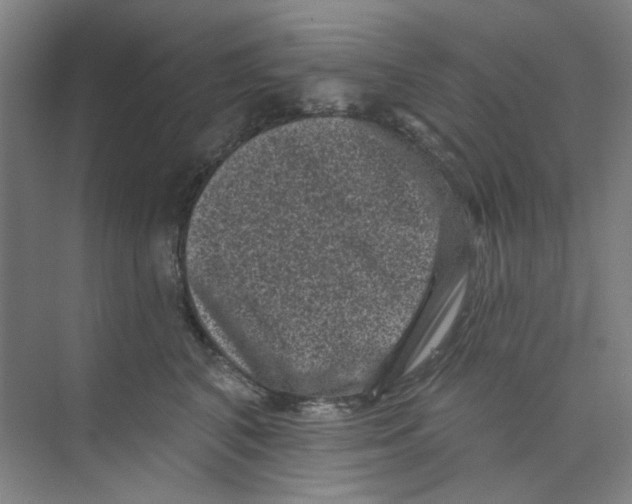 X0000074260616200609222152