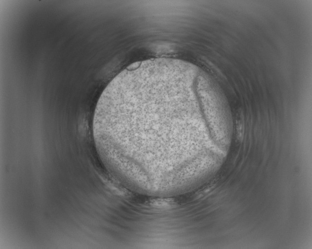 X0000074260618200609222152