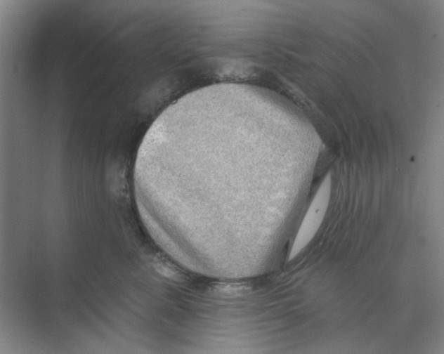 X0000074260619200609222152