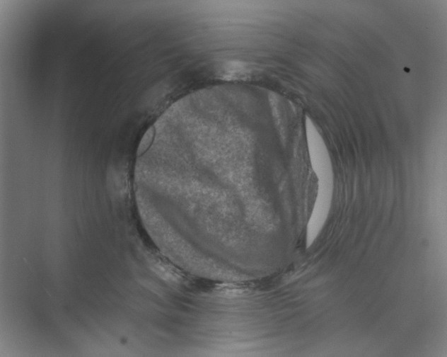 X0000074260620200609222152