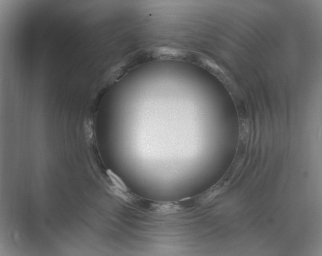 X0000074260621200609222152