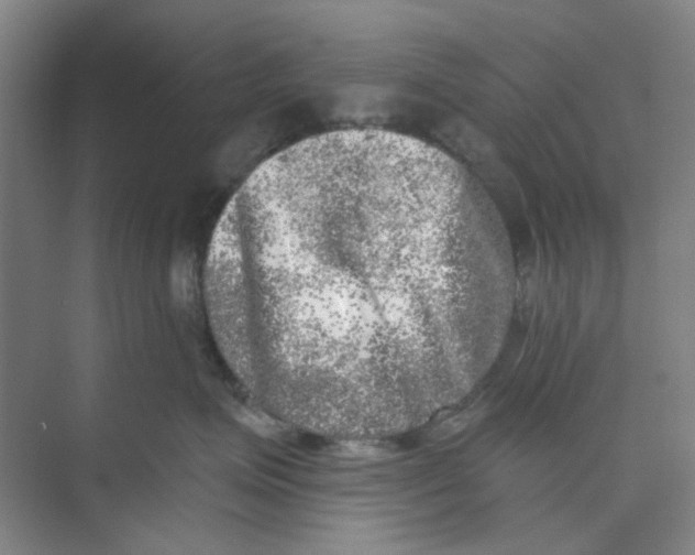 X0000074260623200609222152