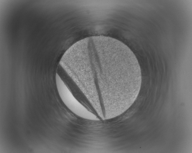 X0000074260624200609222152