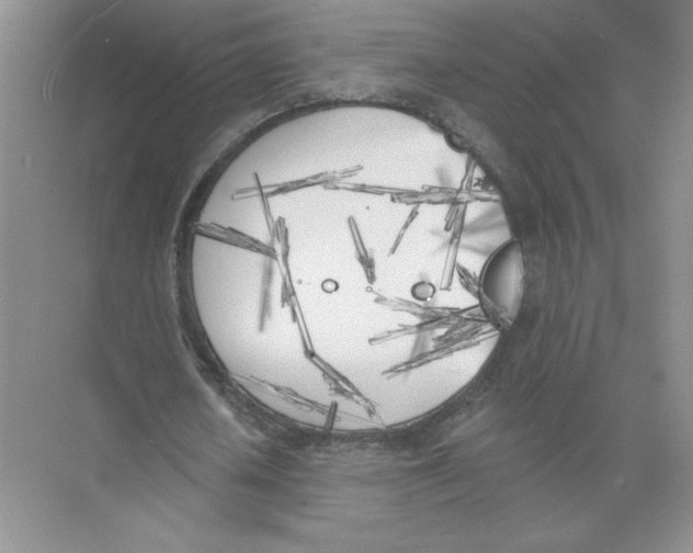 X0000074260626200609222152